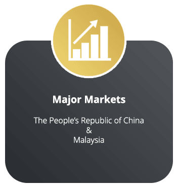 Major Markets